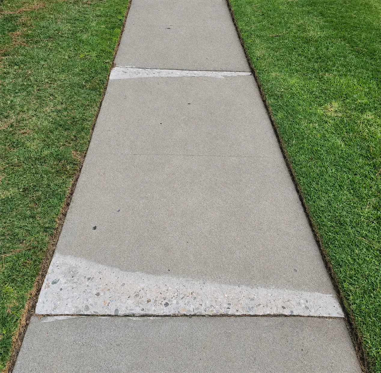 A sidewalk with two joints ground level, the fresh grinding pale against the older concrete.
